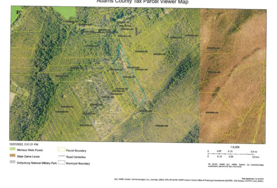 PAAD2007048 180 Tapeworm Lane