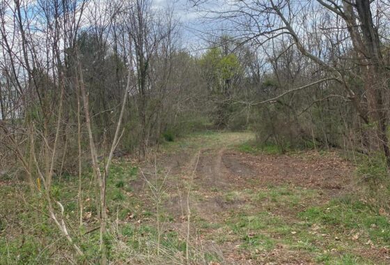 PAAD2008628 0 Carrolls Tract Road