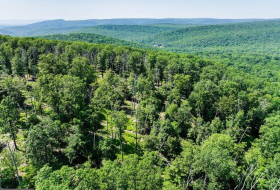 PAAD2009118 Lot 4 Newman Rd