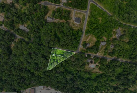 PAAD2009432 38 Ringneck Trail