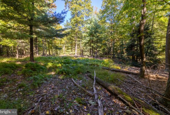 PAAD2009854 Lot 1 Newman Rd