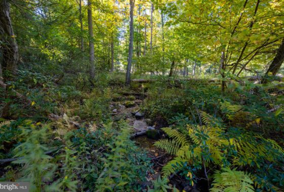 PAAD2010600 Lots 3, 4, 5 Newman Road