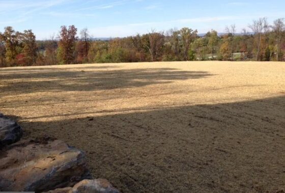 PAAD2010944 1500 Proline Place 10