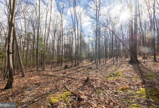 PAAD2012612 1300 Mount Carmel Road