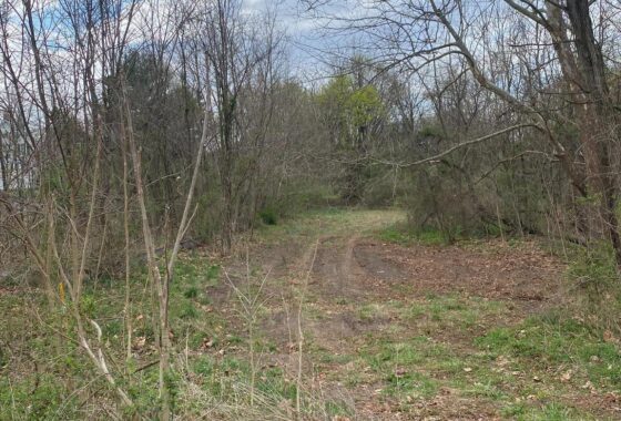 PAAD2012716 0 Carrolls Tract Road