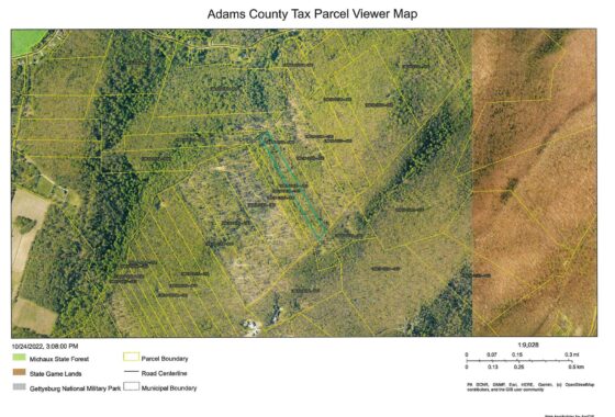 PAAD2014450 0 Tapeworm Lane