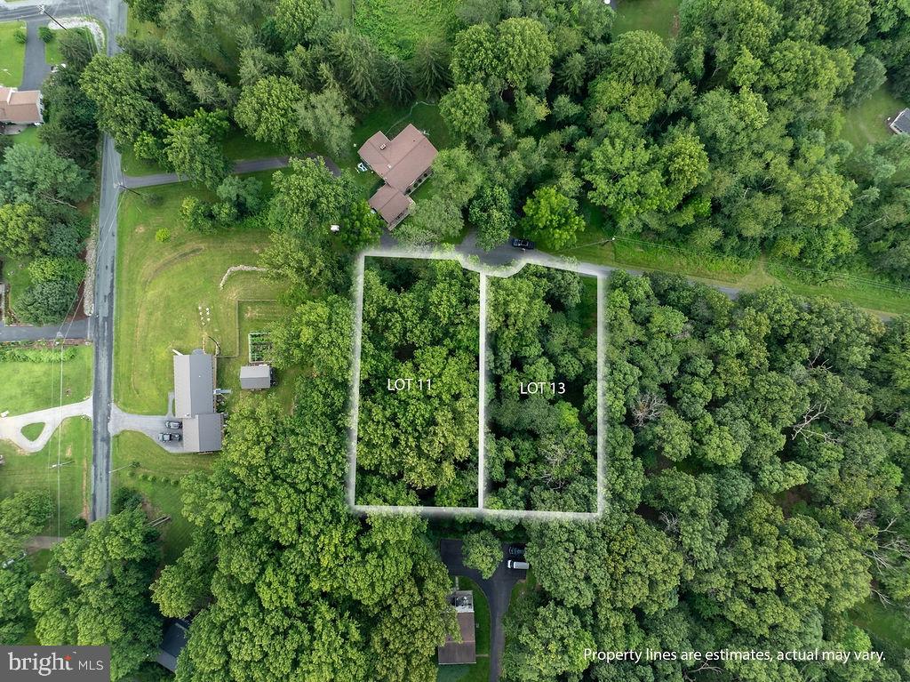 PAAD2020114 11 Mary Ann Trail