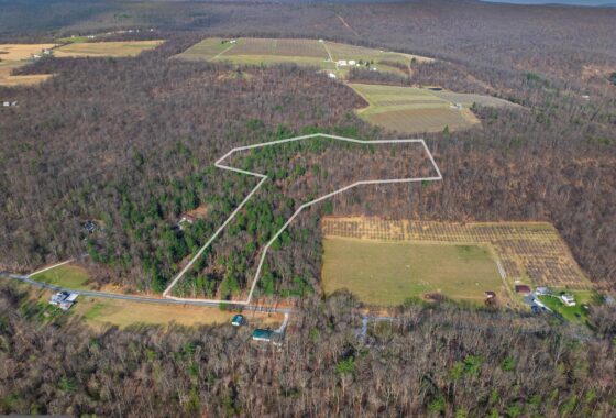 PAAD2022682 175 Moritz Road