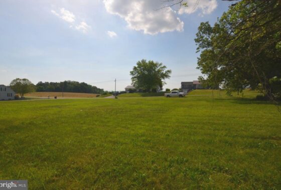 PAFL2007646 0 Brookens Road